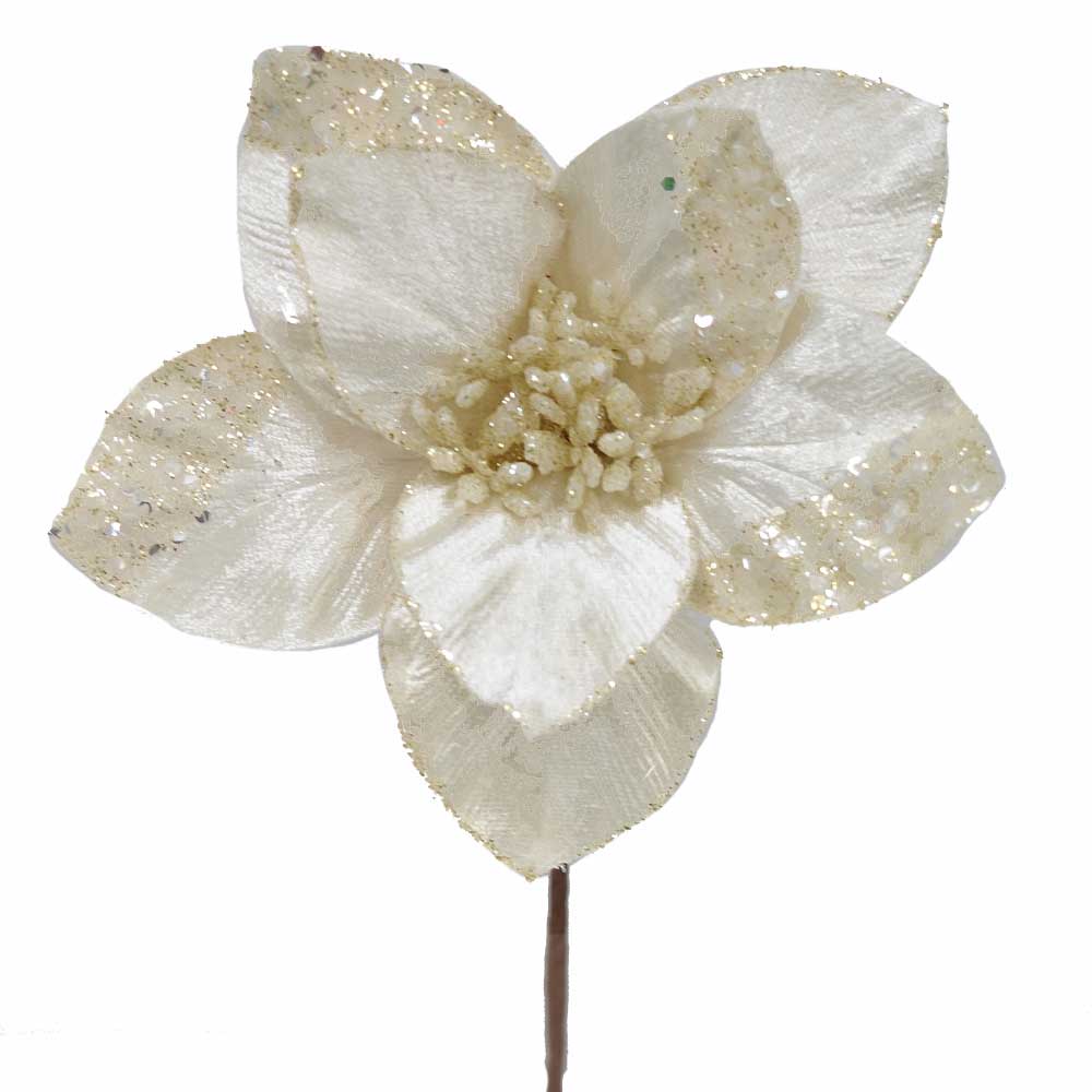 Ivory Poinsettia on Clip