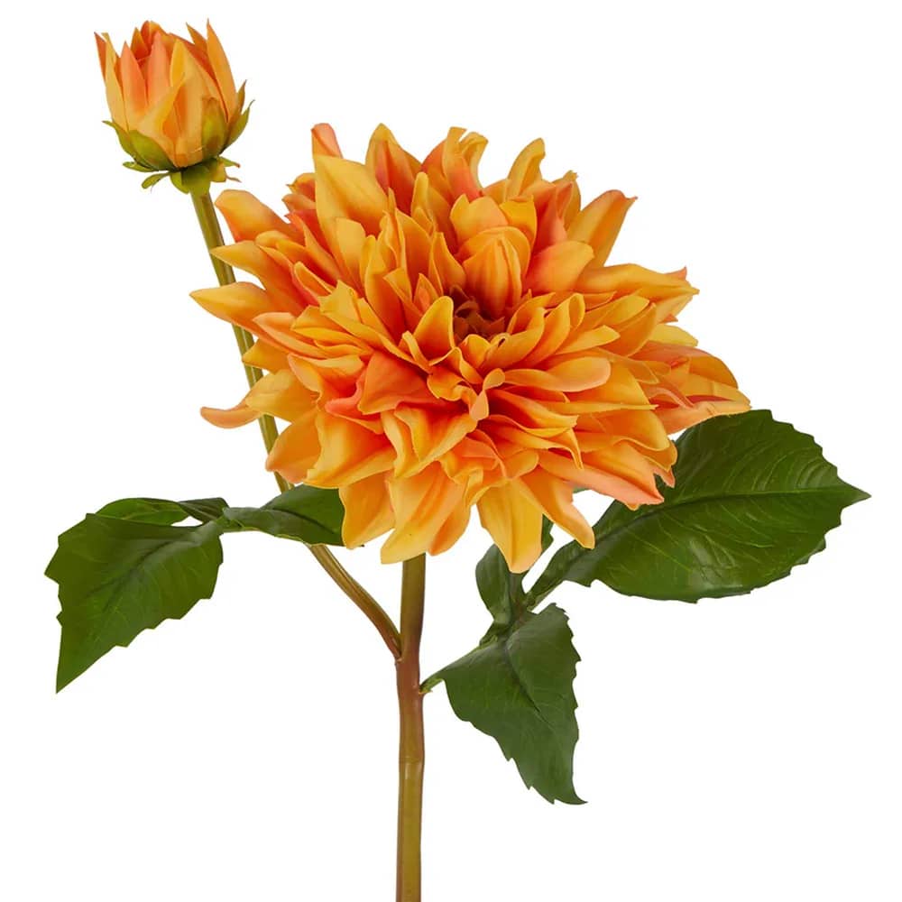 Orange Dahlia Flower Stem - 74cm