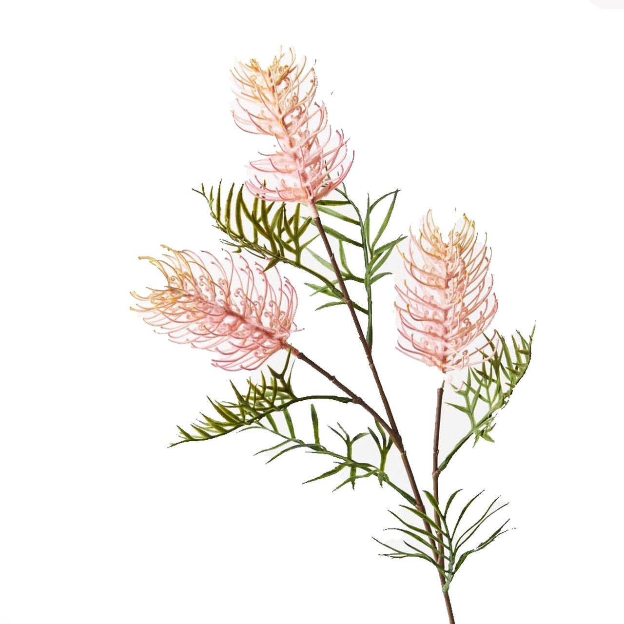 Light Pink Grevillea Spray 84cm