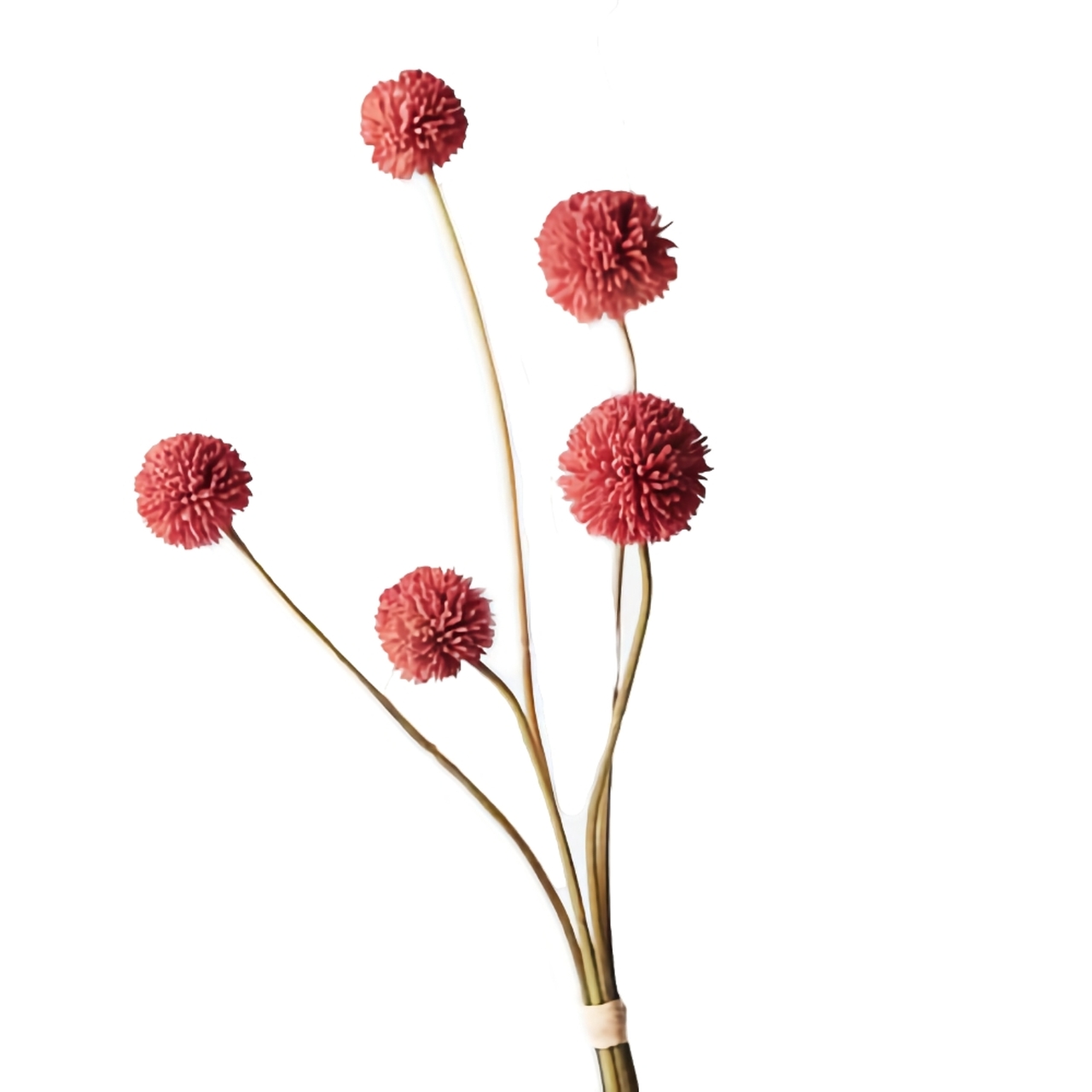 Mauve Billy Buttons (Craspedia) 48cm