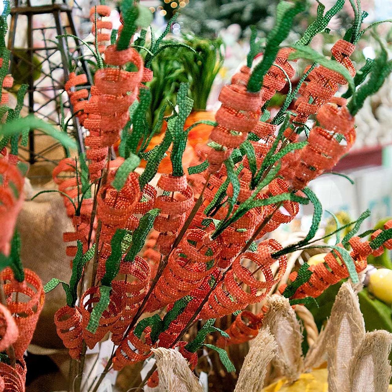 Carrot Spray on Stem 70cm