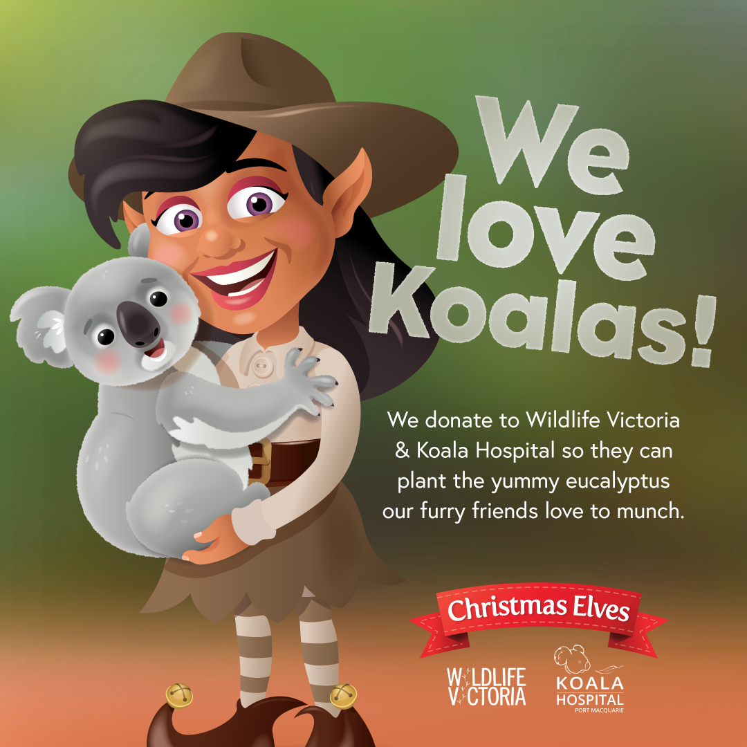 Christmas Elves helping our koalas!