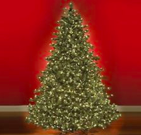 christmas-tree-lights.png