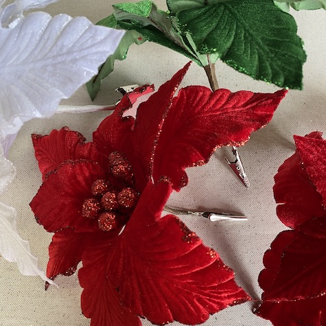 Green Clip on poinsettia