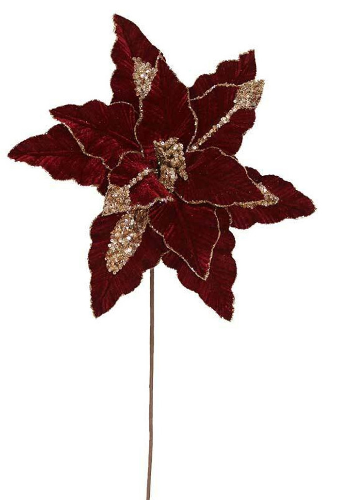 Burgundy Gold Poinsettia 33cm