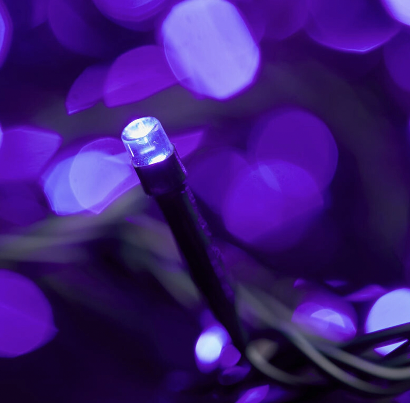 Connectable Ready Purple LED Lights 100 Bulb