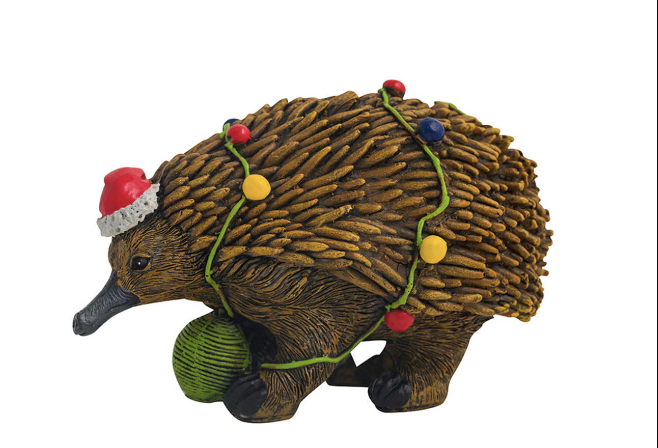 Christmas Echidna