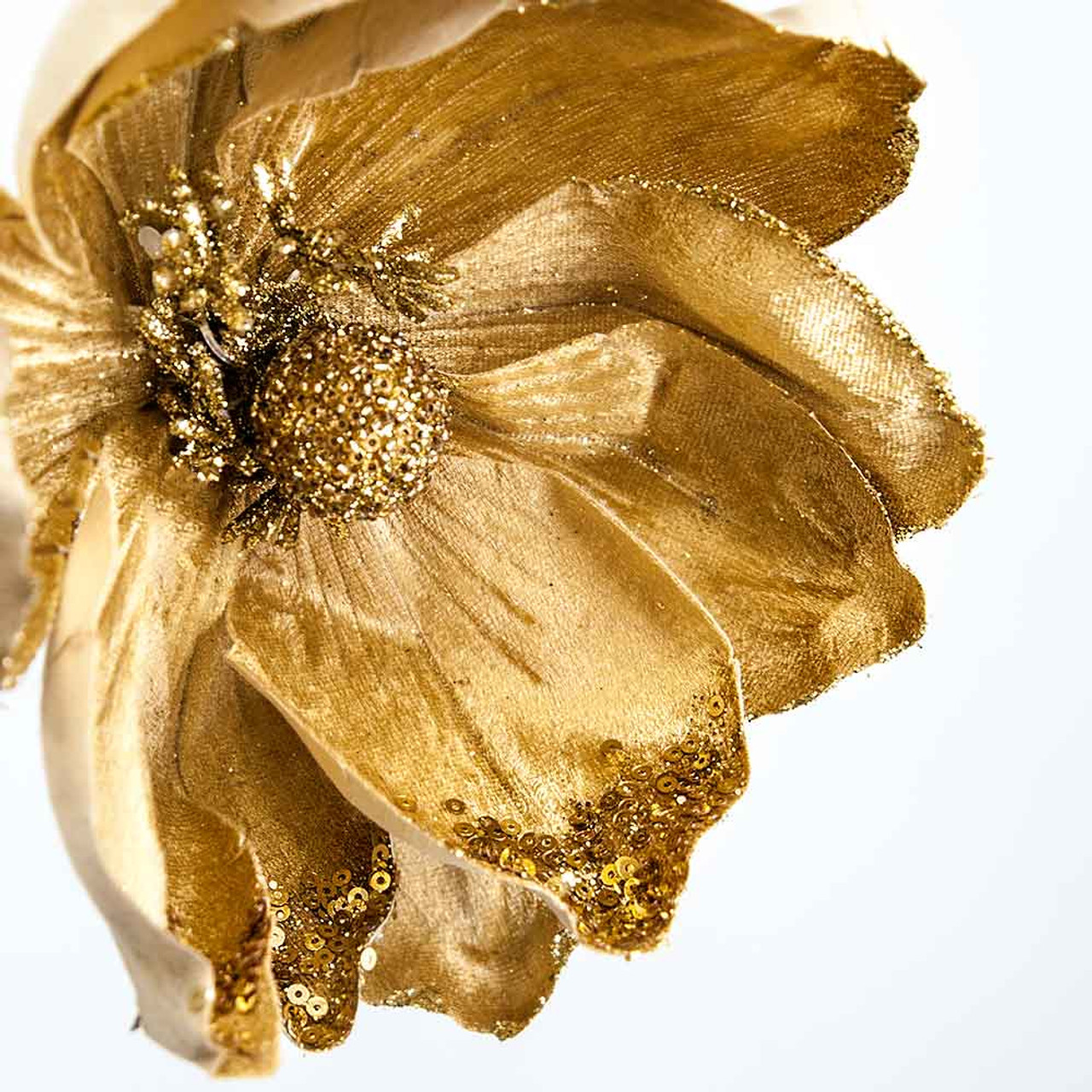 Gold Magnolia