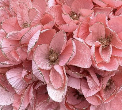Peach Magnolia