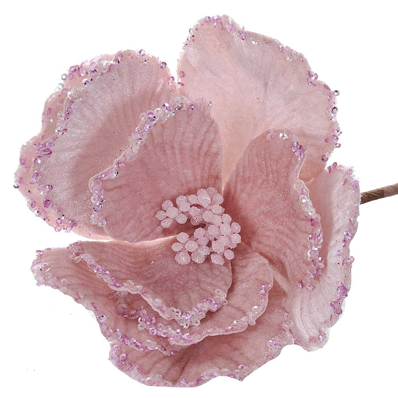 Pink Velvet Magnolia
