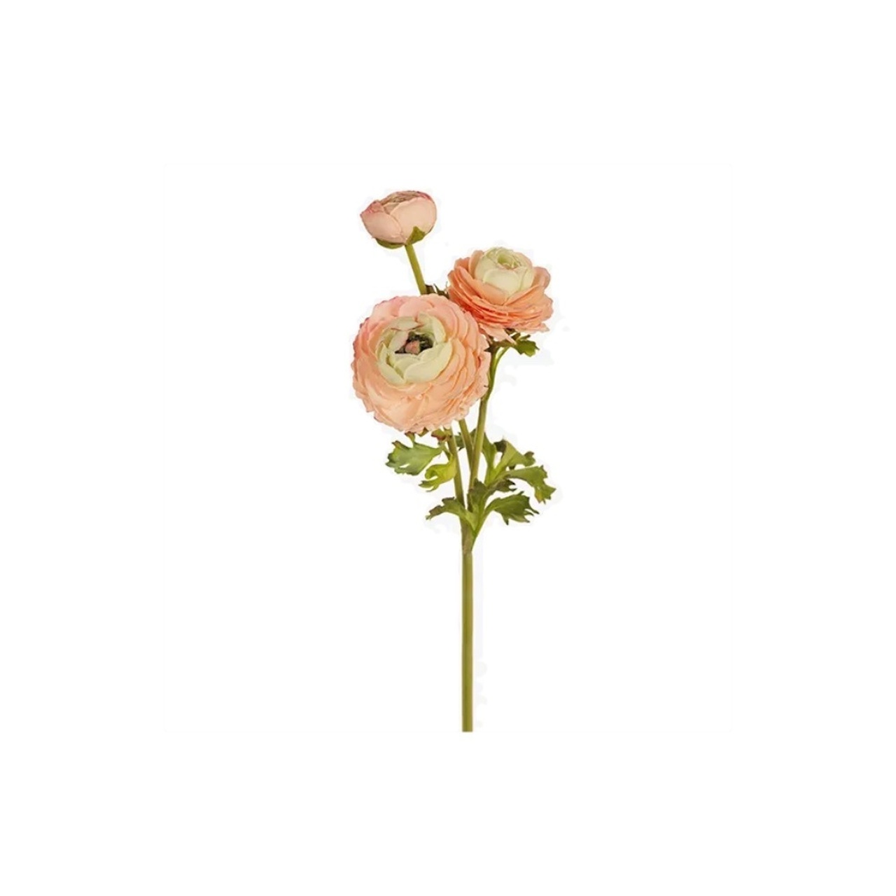 Peach Ranunculus Spray 60cm