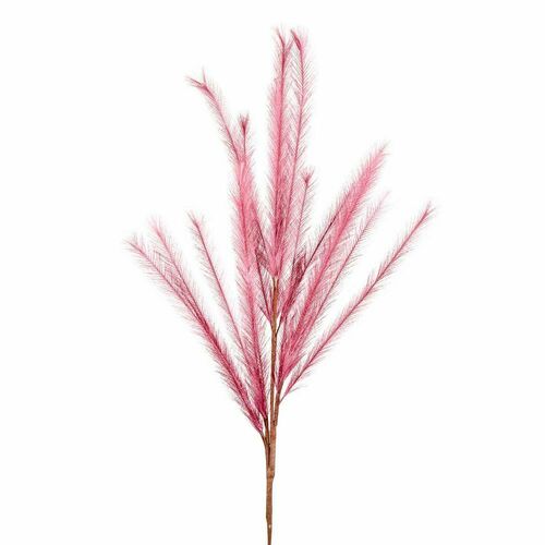 Pink Wheat Rabbit Tail 1.2m