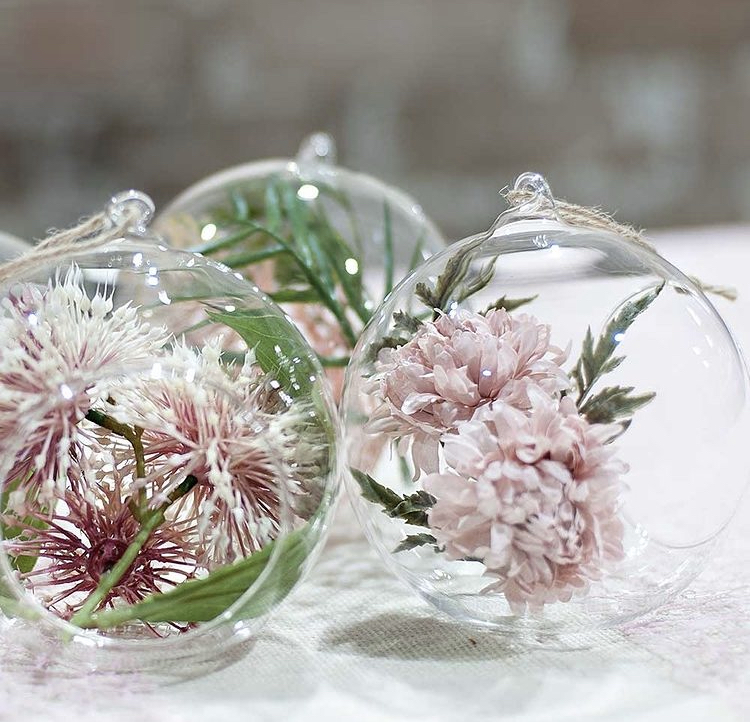 Light Pink Chrysanthemum Celeste